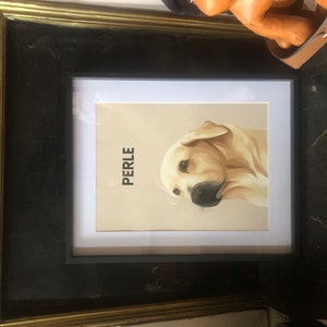 Foucauld added a photo of their purchase