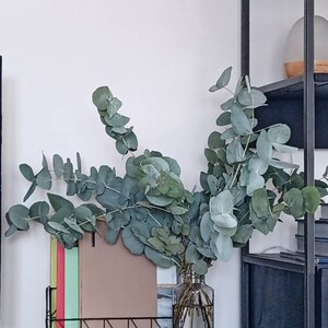 Chiara ha añadido una foto de su compra