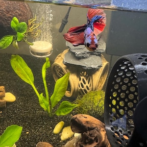 April added a photo of their purchase