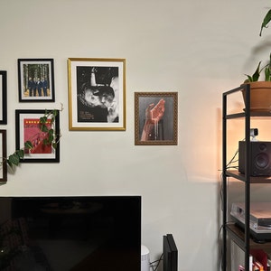 Patrick added a photo of their purchase