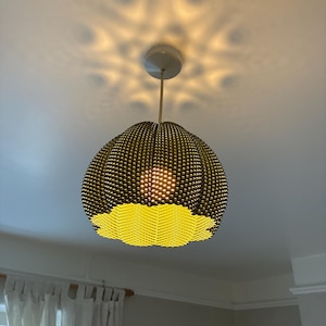 Jo added a photo of their purchase