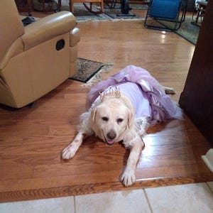 Elizabeth added a photo of their purchase