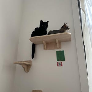 Marie added a photo of their purchase