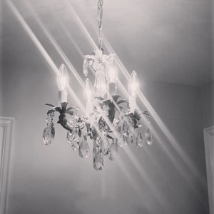 Shannon added a photo of their purchase