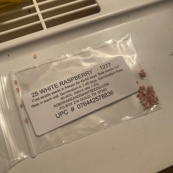 25 White Raspberry Seeds-1277 - Etsy