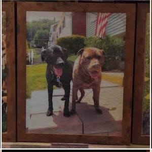 Deborah added a photo of their purchase