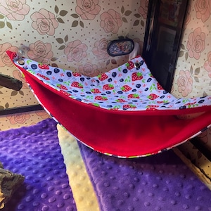 Erin added a photo of their purchase