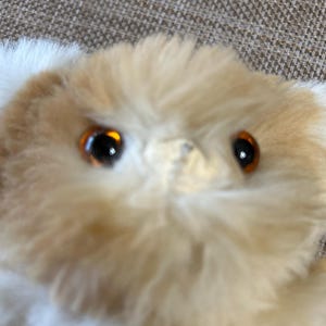 Maureen added a photo of their purchase