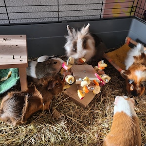 Isabelle added a photo of their purchase