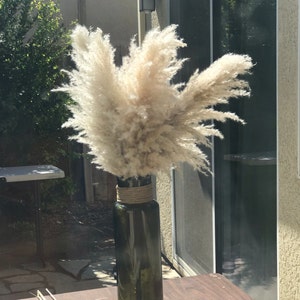 Phou added a photo of their purchase