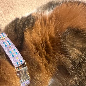 Carolyn added a photo of their purchase