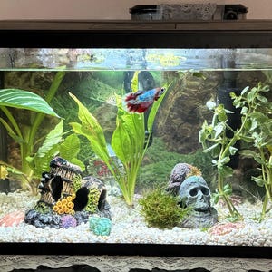 Amy added a photo of their purchase