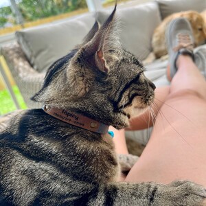 Stephanie ha añadido una foto de su compra