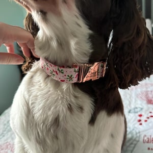 ludic added a photo of their purchase
