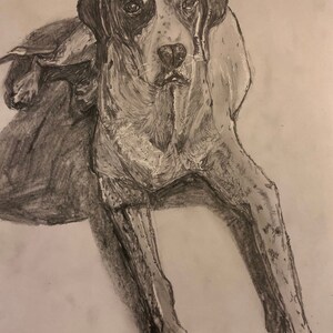 Mary ha añadido una foto de su compra