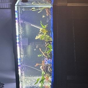Kory added a photo of their purchase