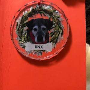 Ann added a photo of their purchase