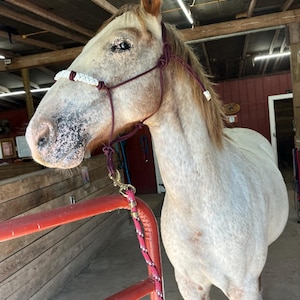 Kaiya added a photo of their purchase