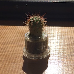 Rebecca added a photo of their purchase