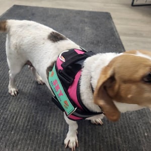 Isaline added a photo of their purchase