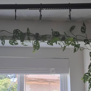 Deborah added a photo of their purchase