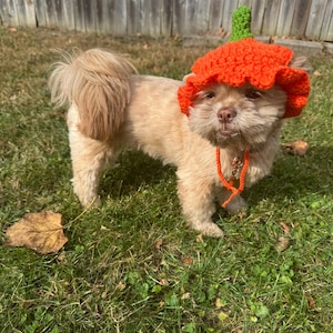 JuliAnn added a photo of their purchase
