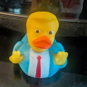 Patricia added a photo of their purchase