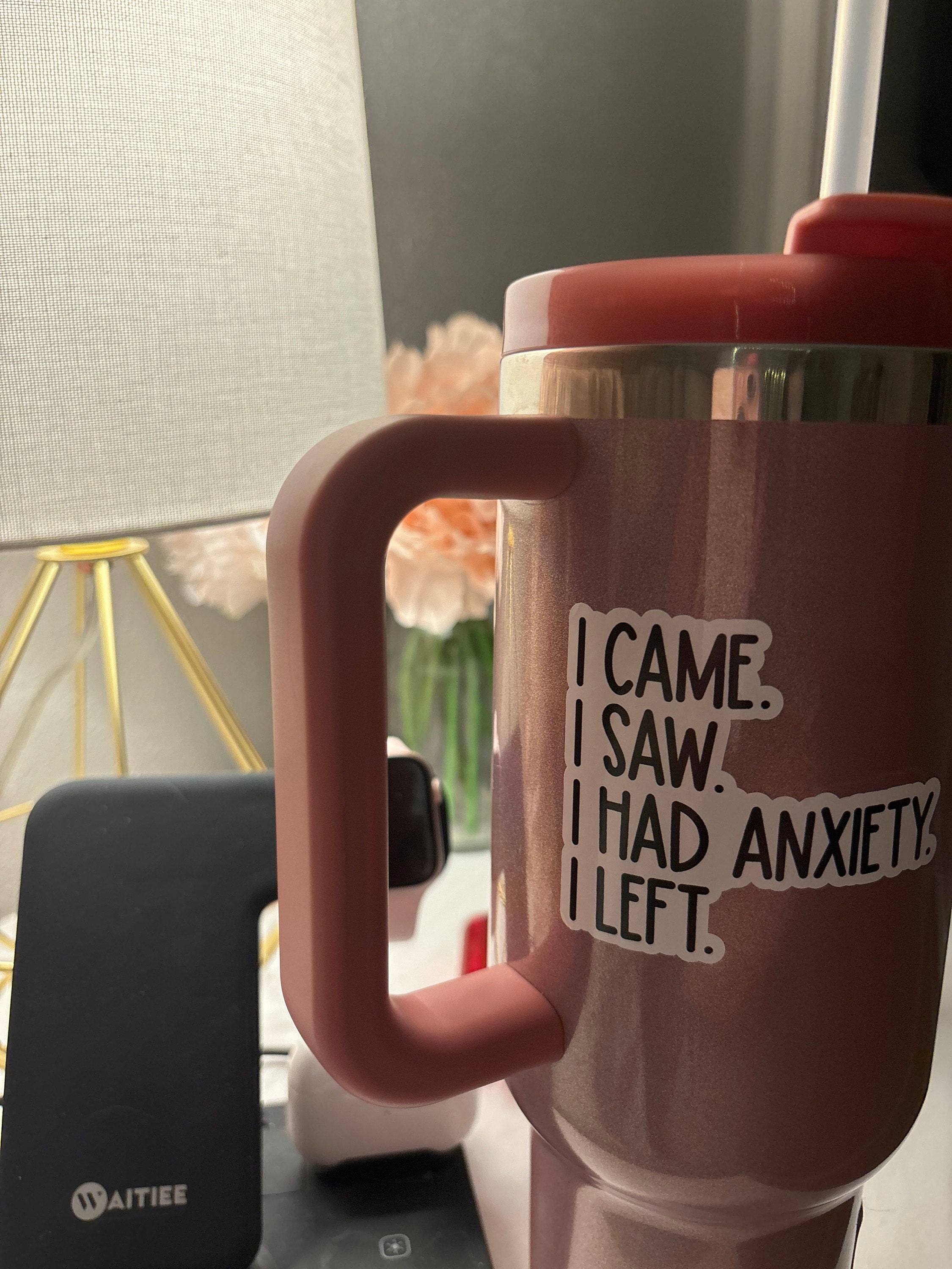 i came i saw i had anxiety i left sticker, funny introvert sticker, funny sticker, laptop decal, anxiety tumbler sticker, anxiety sticker