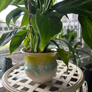 Sharon added a photo of their purchase