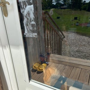 Amanda added a photo of their purchase