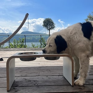 Pascale added a photo of their purchase