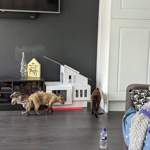 Hazey added a photo of their purchase