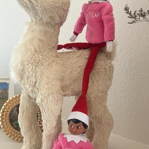 Daniela added a photo of their purchase
