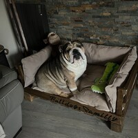 FURTIME Orthopädisches Hundebett Extra Groß – Wasserdicht, Mit Memory-Schaum & Abnehmbarem Bezug
