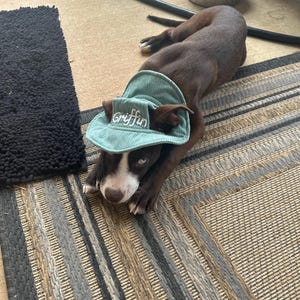 Elizabeth added a photo of their purchase