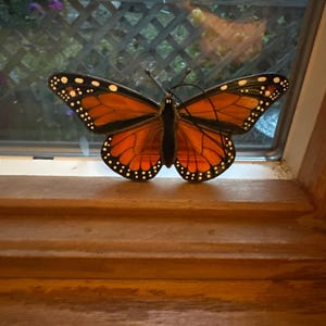Simone added a photo of their purchase