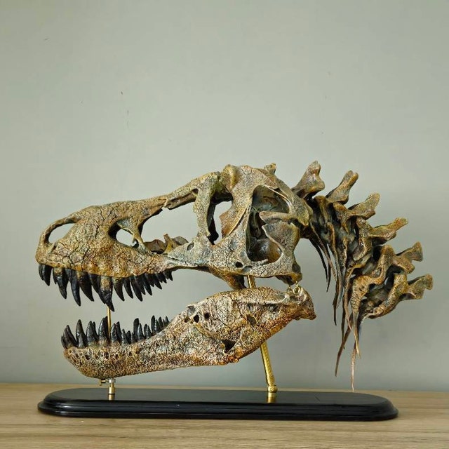 手作りのティラノサウルスの頭蓋骨化石レプリカ – 博物館級の恐竜彫刻