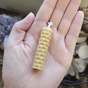 Lacey added a photo of their purchase