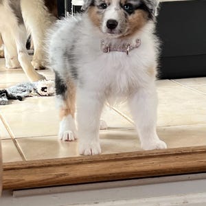 Elisabeth ha añadido una foto de su compra