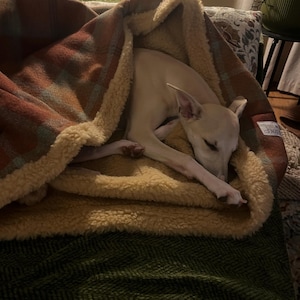 Finn added a photo of their purchase