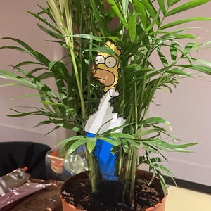 Laura added a photo of their purchase