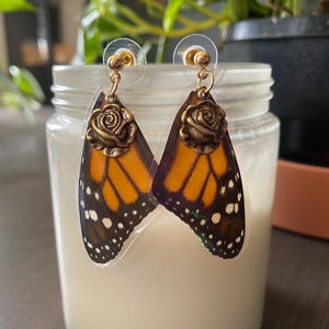 DIY Artwork Real Butterfly Wings Specimens – 50 Or 100 Pieces – Multicolored – For Jewelry & Craft