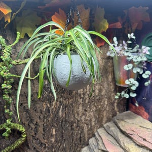 Kelly added a photo of their purchase