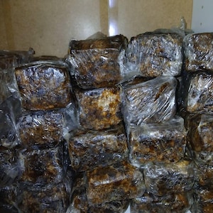 Cherry ha añadido una foto de su compra