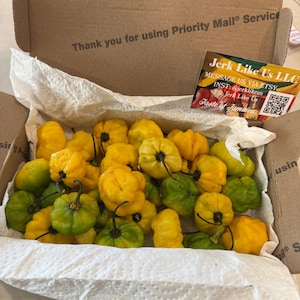 Pamela added a photo of their purchase