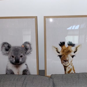 Emma added a photo of their purchase