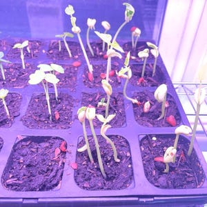 jonathon ha aggiunto una foto del proprio acquisto