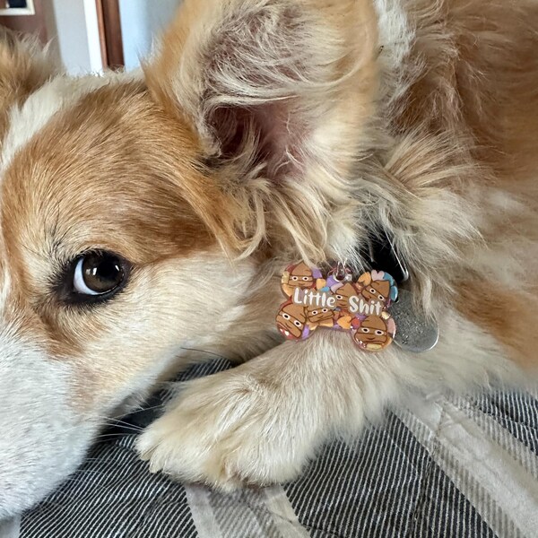 Customize Your OWN Pet Tag Etsy