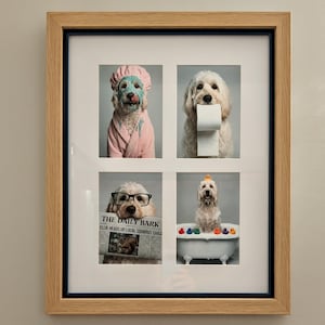 Nancy added a photo of their purchase