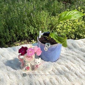 Haley added a photo of their purchase